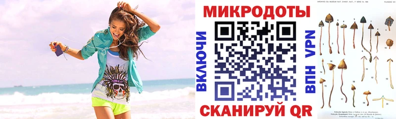 Купить закладки  Лесной  Псилоцибиновые грибы MAGIC MUSHROOMS 